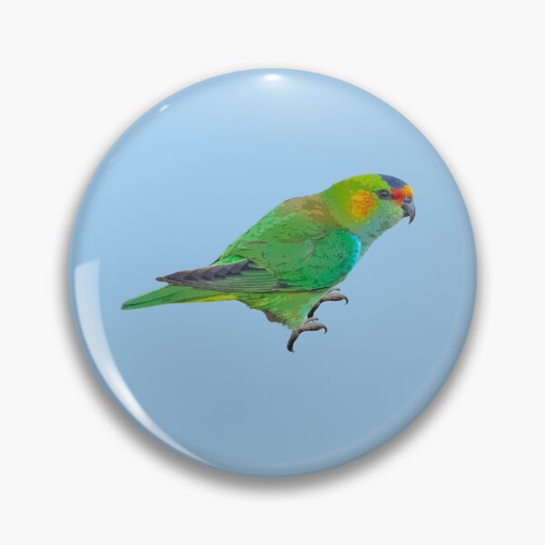 Item preview, Purple-crowned Lorikeet Color Design  designed and sold by designsasstultd.