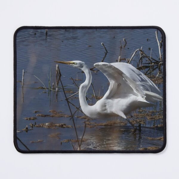 Item preview, Great Heron designed and sold by AmyGann9Create.
