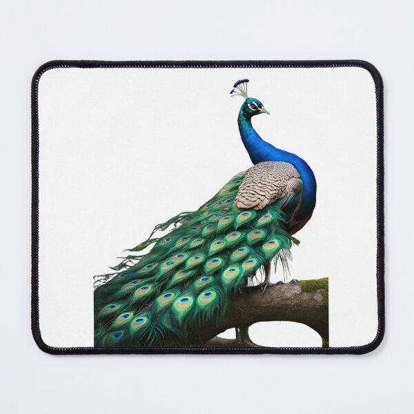 Item preview, Pavo real designed and sold by Gardenpets.