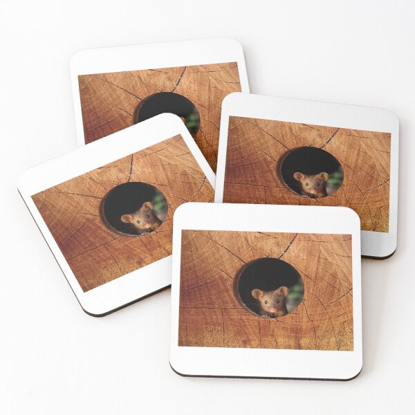 Item preview, Mouse in the hole  designed and sold by Simon-dell.