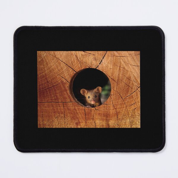 Item preview, Mouse in the hole designed and sold by Simon-dell.