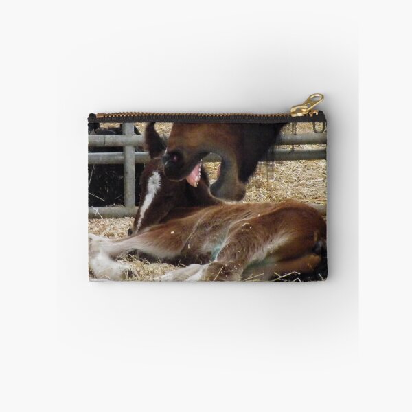 Item preview, My Foal !!! Stay Away designed and sold by AnnDixon.