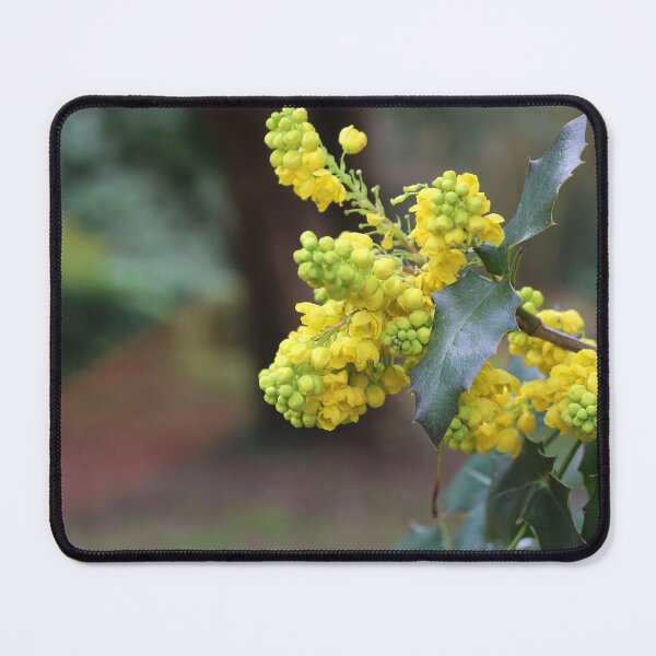 Item preview, Mahonia Aquifolium designed and sold by pinkal.