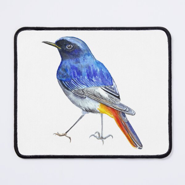 Item preview, Black Redstart designed and sold by EwieEnte.