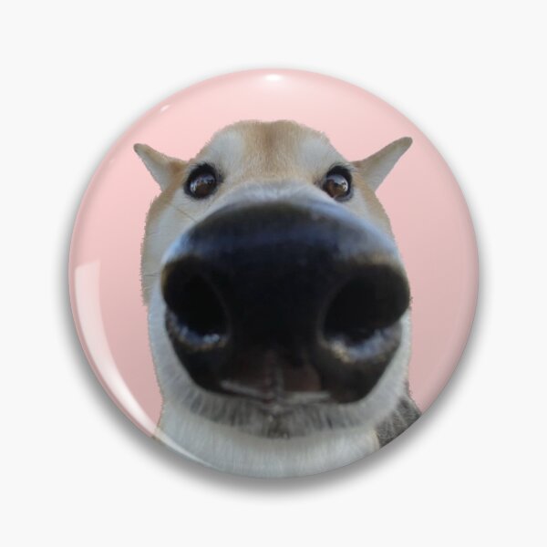 Item preview, Funny dog designed and sold by Ratcatdoggg.