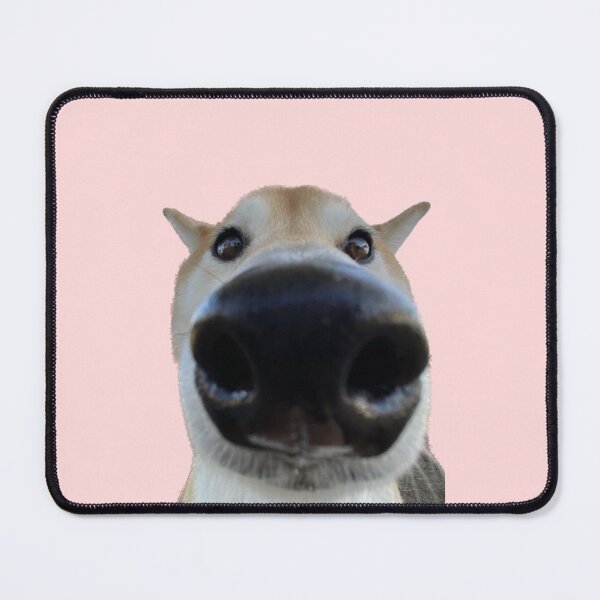 Item preview, Funny dog designed and sold by Ratcatdoggg.