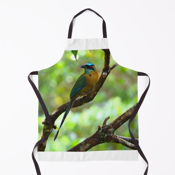 Item preview, Blue Crowned Motmot Panama Bird Photography designed and sold by Alvaro-Miranda.