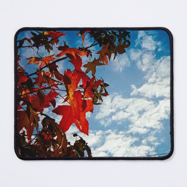 Item preview, Maple Sky designed and sold by Jake Kauffman.