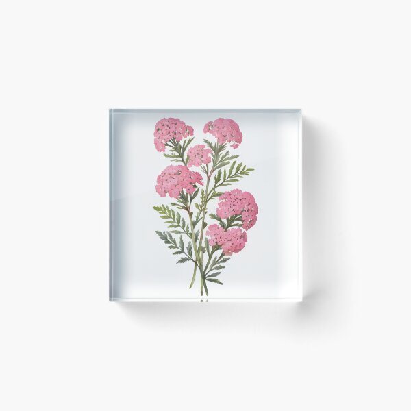 Item preview, Pink Yarrow designed and sold by HOMETOWN86.