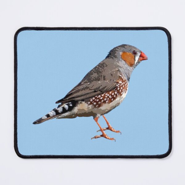 Item preview, Zebra Finch Color Design designed and sold by designsasstultd.