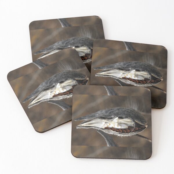 Item preview, Milk Weed Seed Pod, with Emerging Seeds. designed and sold by Billlee.