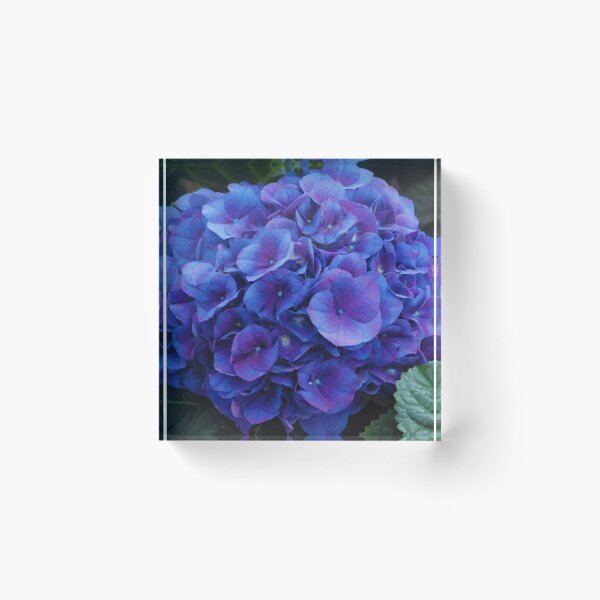 Item preview, Deep Blue and Purple Bunch of Flowers designed and sold by CountyKent.