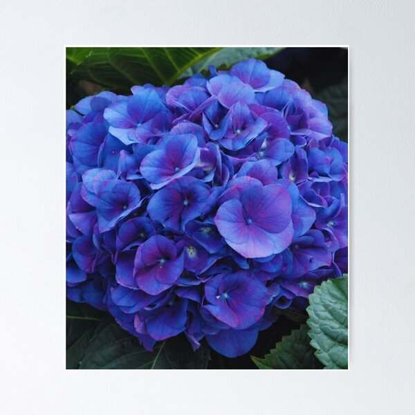 Item preview, Deep Blue and Purple Bunch of Flowers designed and sold by CountyKent.