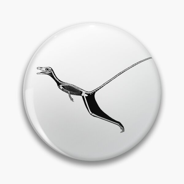 Item preview, Sharovipteryx (Skeleton) designed and sold by Jaime Headden.