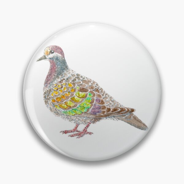 Item preview, Phaps chalcoptera - Common Bronzewing. designed and sold by bangart.