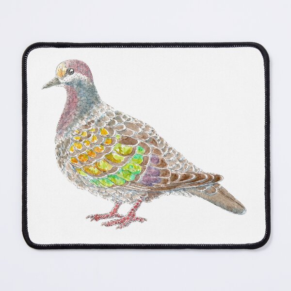 Item preview, Phaps chalcoptera - Common Bronzewing. designed and sold by bangart.