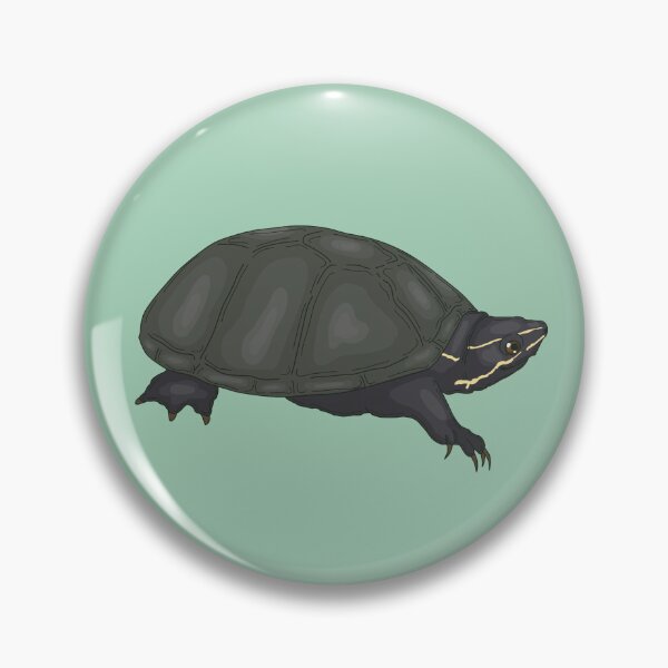 Item preview, Eastern Musk Turtle  designed and sold by Lily Hamilton.