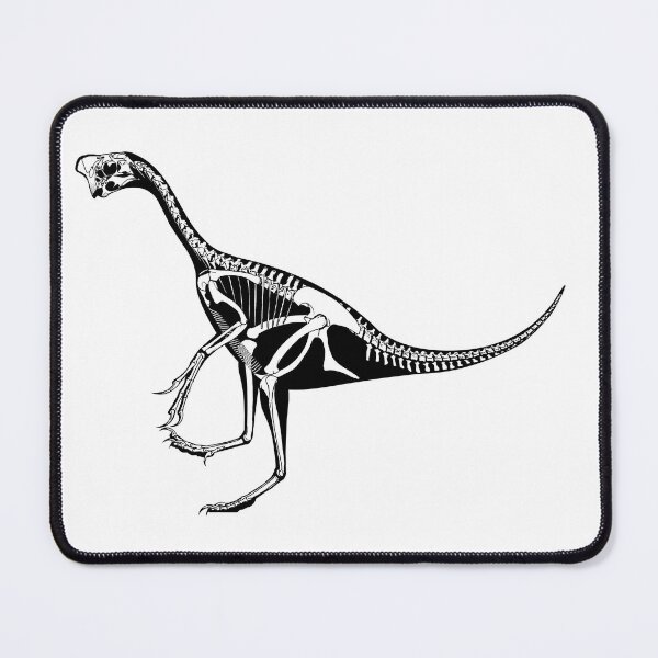 Item preview, The Oviraptor With No Name designed and sold by Jaime Headden.