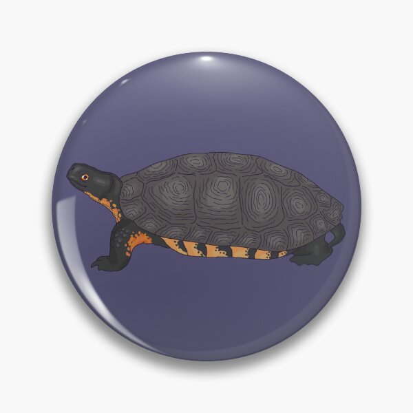 Item preview, Wood Turtle  designed and sold by Lily Hamilton.