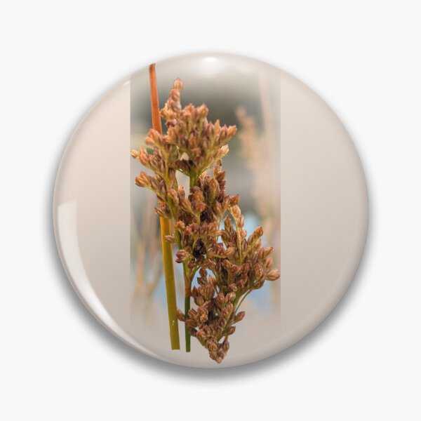 Item preview, Native grasses designed and sold by indiafrankk.