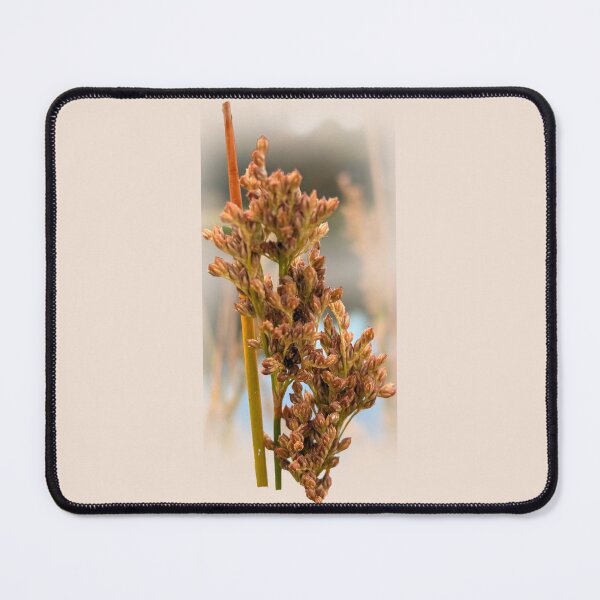 Item preview, Native grasses designed and sold by indiafrankk.