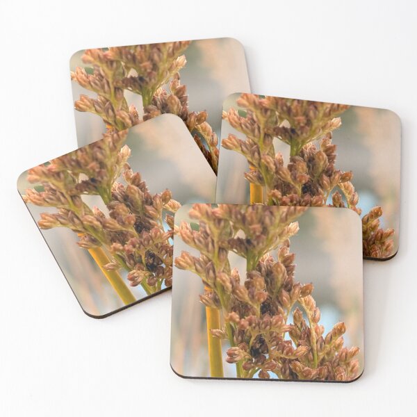 Item preview, Native grasses designed and sold by indiafrankk.