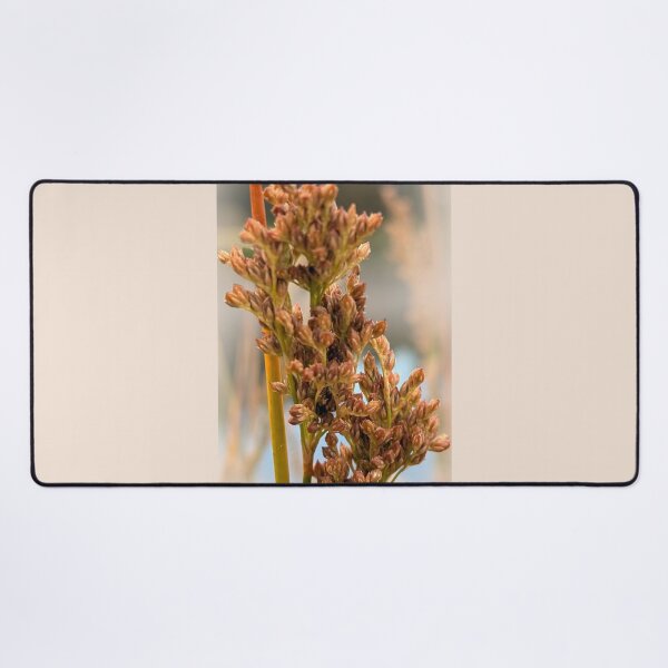 Item preview, Native grasses designed and sold by indiafrankk.