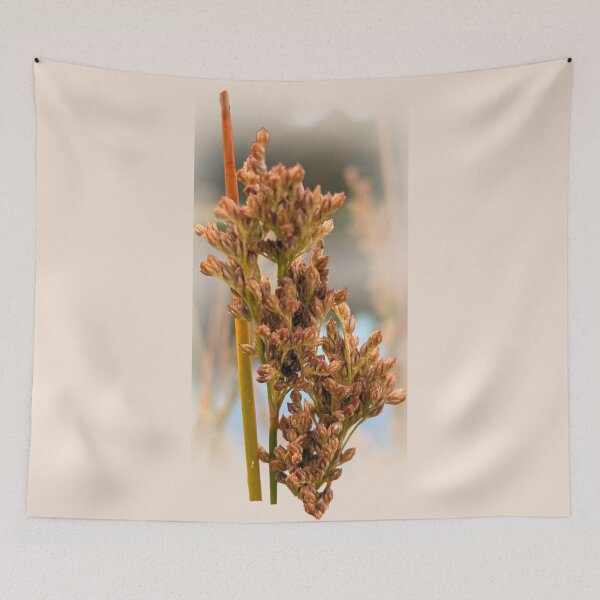 Item preview, Native grasses designed and sold by indiafrankk.