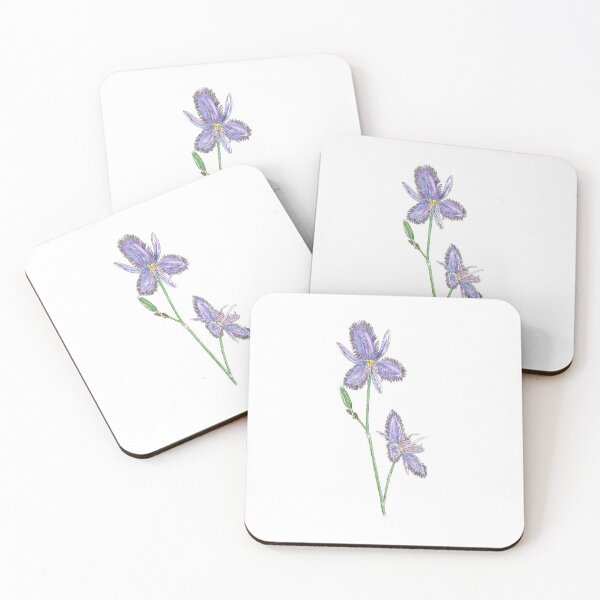 Item preview, Thysanotus juncifolius - Fringe Lily. designed and sold by bangart.