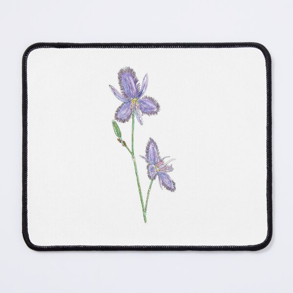 Item preview, Thysanotus juncifolius - Fringe Lily. designed and sold by bangart.