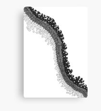 Land-spine Canvas Print
