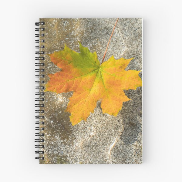 Item preview, Multicolored Maple Leaf Floating in Clear Water designed and sold by Georgia Mizuleva.