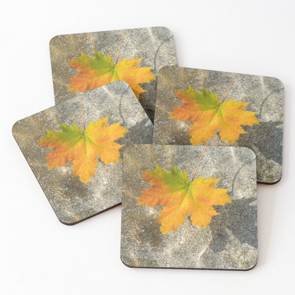 Item preview, Multicolored Maple Leaf Floating in Clear Water designed and sold by Georgia Mizuleva.