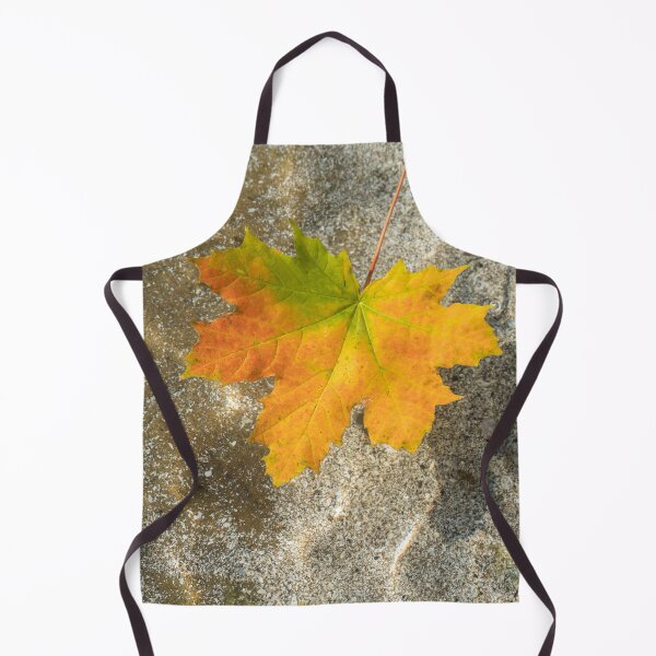 Item preview, Multicolored Maple Leaf Floating in Clear Water designed and sold by Georgia Mizuleva.