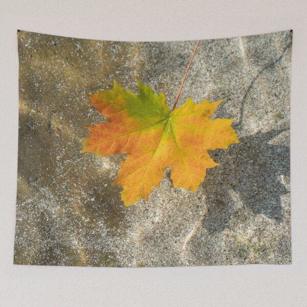 Item preview, Multicolored Maple Leaf Floating in Clear Water designed and sold by Georgia Mizuleva.