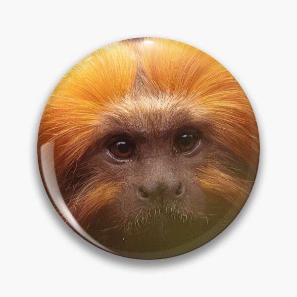 Item preview, Golden Lion Tamarin  designed and sold by Sheila Smith.