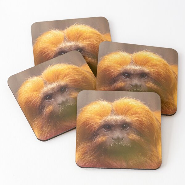 Item preview, Golden Lion Tamarin  designed and sold by Sheila Smith.