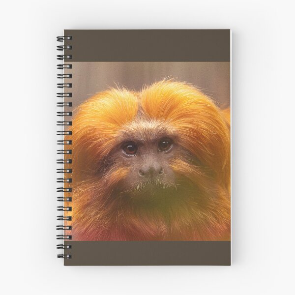 Item preview, Golden Lion Tamarin  designed and sold by Sheila Smith.