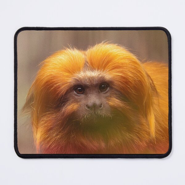 Item preview, Golden Lion Tamarin  designed and sold by Sheila Smith.