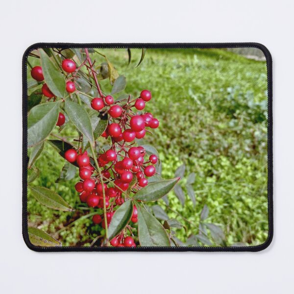 Item preview, Fruits designed and sold by Cr4Store.