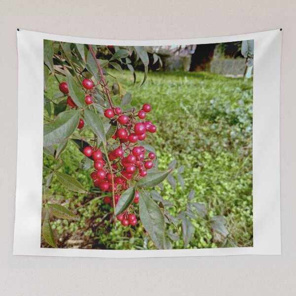 Item preview, Fruits designed and sold by Cr4Store.