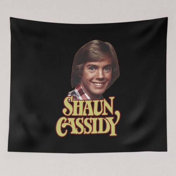 Item preview, Shaun Cassidy 70s Style designed and sold by SchwalbAbusuf.