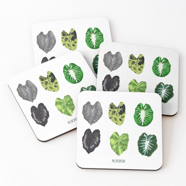 Item preview, ALOCASIA variants designed and sold by MortifiedKiwi.
