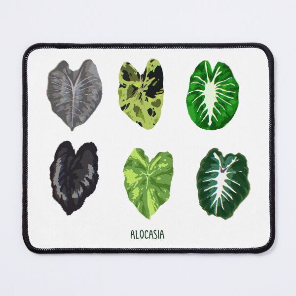 Item preview, ALOCASIA variants designed and sold by MortifiedKiwi.