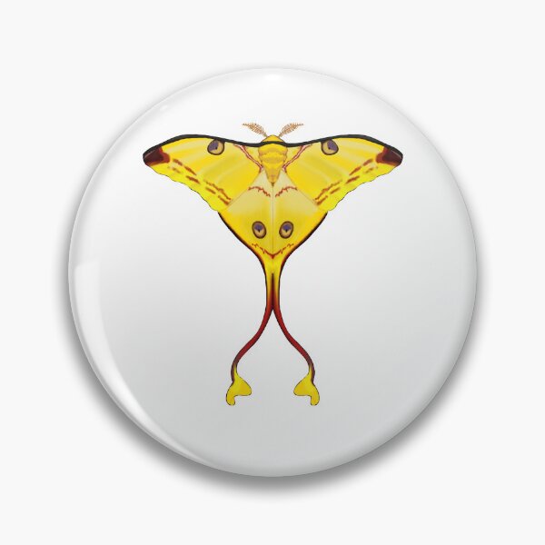 Item preview, comet moth (madagascan moon moth) designed and sold by -bonesboy-.
