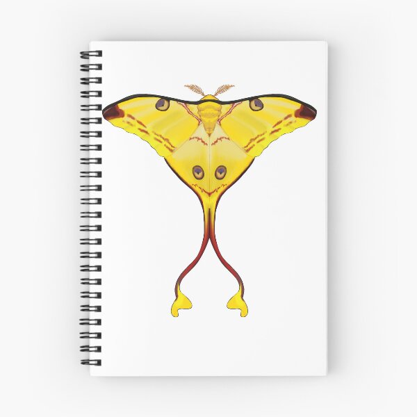 Item preview, comet moth (madagascan moon moth) designed and sold by -bonesboy-.