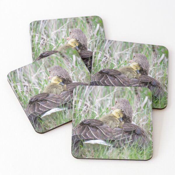 Item preview, Greylag goose snuggles up to its mother in the rain designed and sold by Ingo Gerlach.