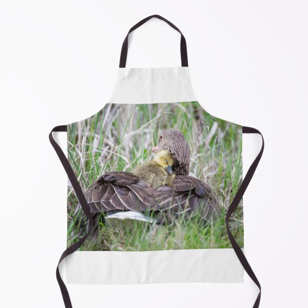 Item preview, Greylag goose snuggles up to its mother in the rain designed and sold by Ingo Gerlach.