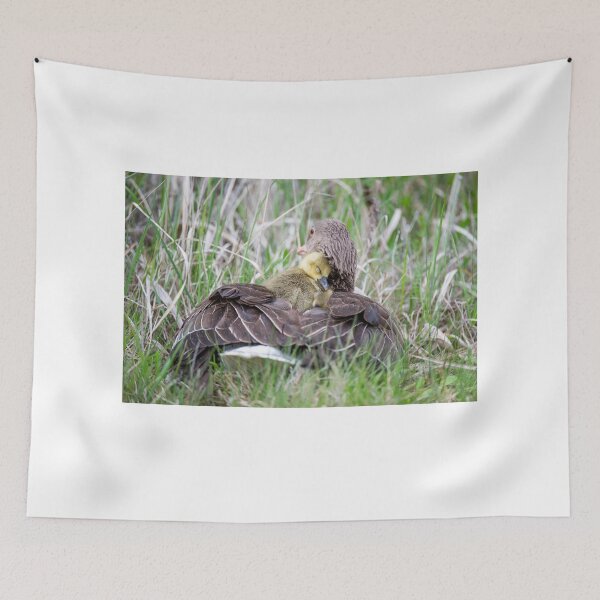 Item preview, Greylag goose snuggles up to its mother in the rain designed and sold by Ingo Gerlach.