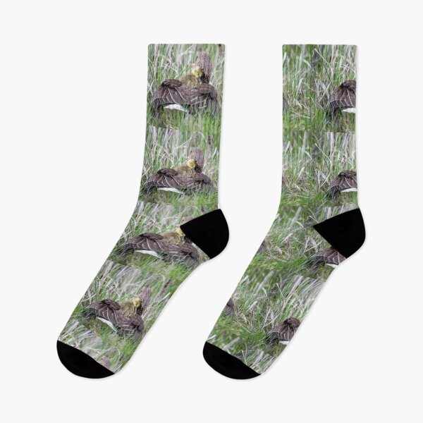 Item preview, Greylag goose snuggles up to its mother in the rain designed and sold by Ingo Gerlach.